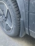 IMG_4349.jpeg