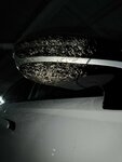 IMG_20250303_233051.jpg