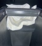IMG_4733.jpeg