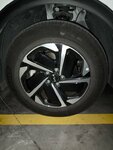IMG_20250329_183416.jpg