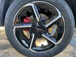 IMG_7643.jpeg