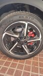 IMG_20250418_110540.jpg