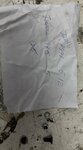 IMG_2058.jpeg